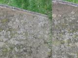 image of grave number 525529